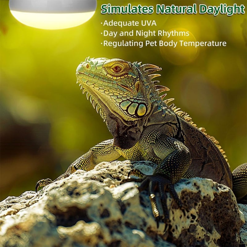 DATOO Reptile Heat Lamp 100W Amphibians Basking Light Bulb UVA Heat Lamp Bulbs Daylight Basking Spot Light for Lizards Bearded Dragon Turtles Snakes Chickens Pet Brooder (2 Pack) - Image 2